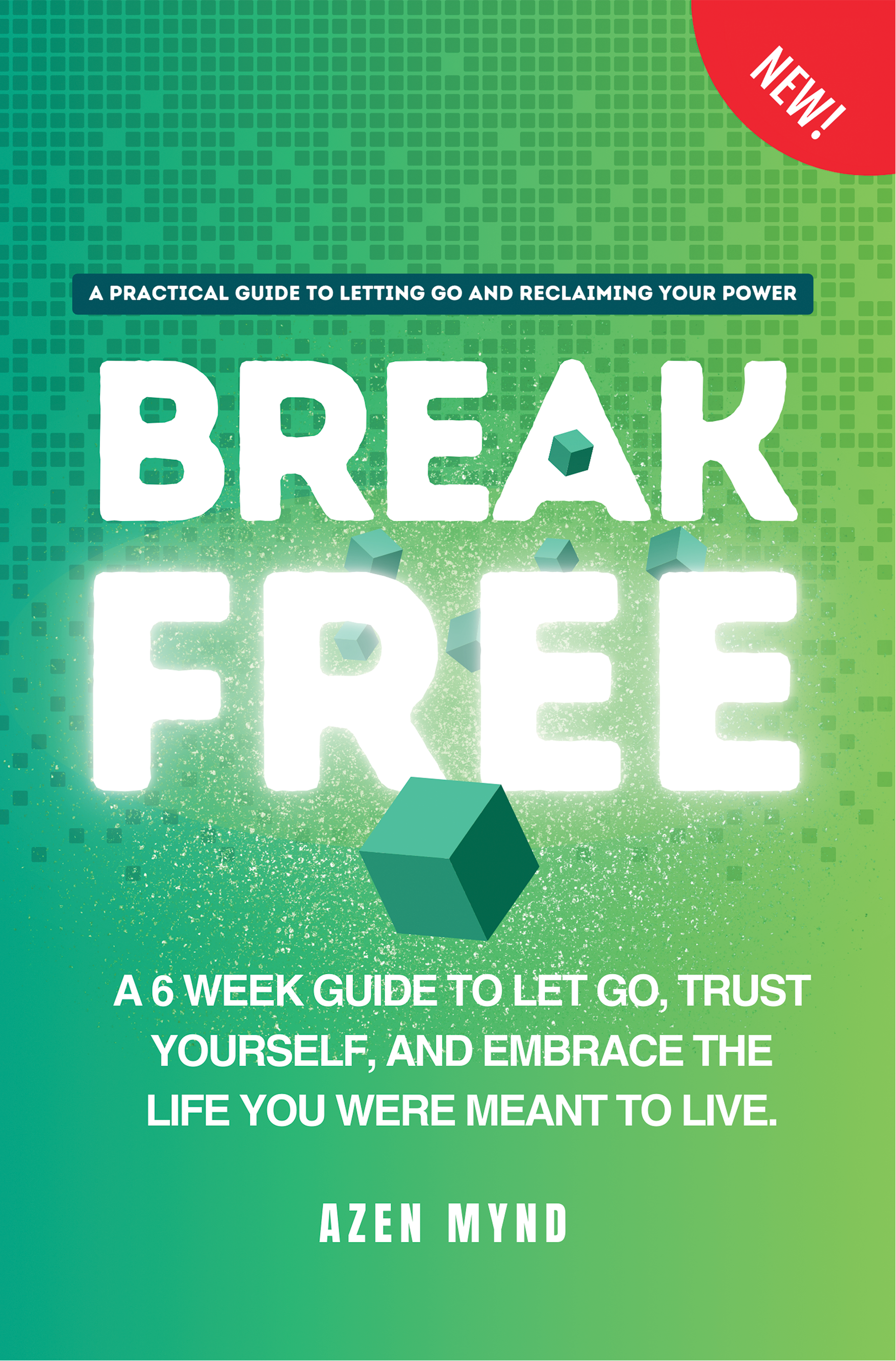 Break Free cover